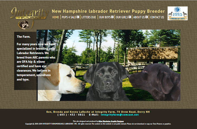 giant labrador retriever breeders